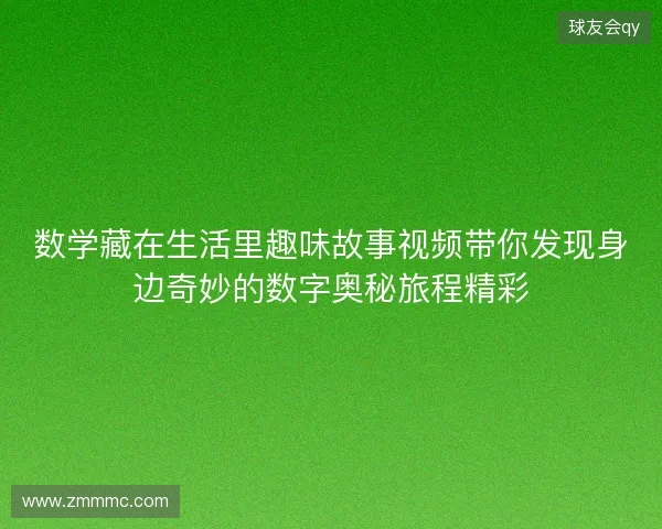 数学藏在生活里趣味故事视频带你发现身边奇妙的数字奥秘旅程精彩